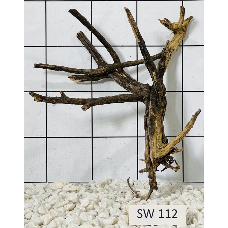 Stump wood 112