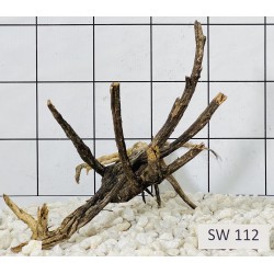 Stump wood 112