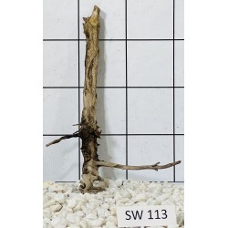 Stump wood 113