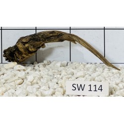 Stump wood 114