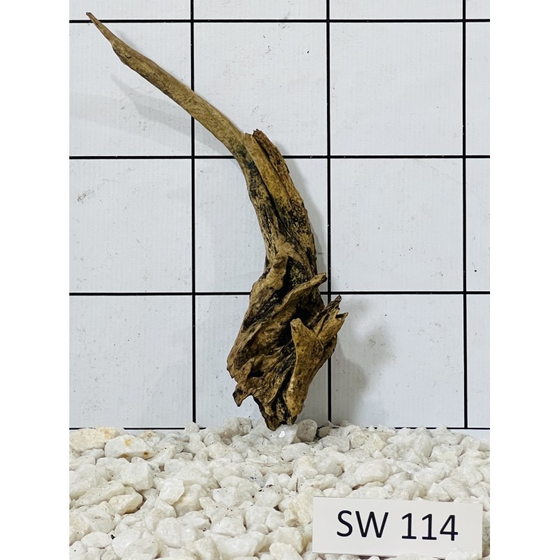 Stump wood 114