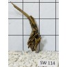 Stump wood 114