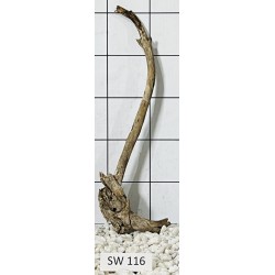 Stump wood 116