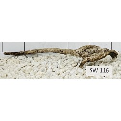 Stump wood 116
