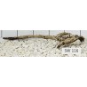 Stump wood 116