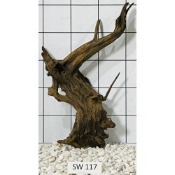 Stump wood 117