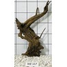 Stump wood 117