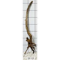 Stump wood 118
