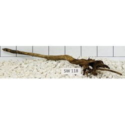 Stump wood 118