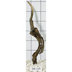 Stump wood 119