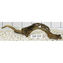 Stump wood 119