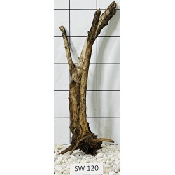 Stump wood 120