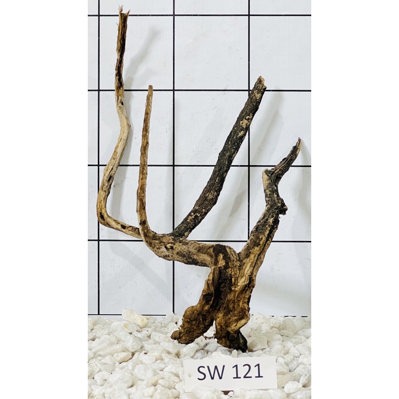 Stump wood 121