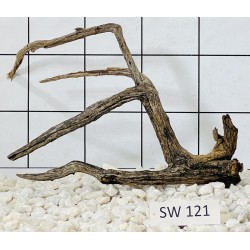 Stump wood 121