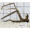 Stump wood 121