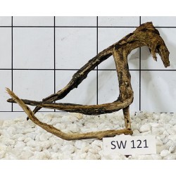 Stump wood 121