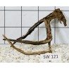 Stump wood 121