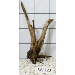 Stump wood 123