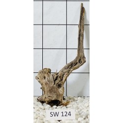 Stump wood 124