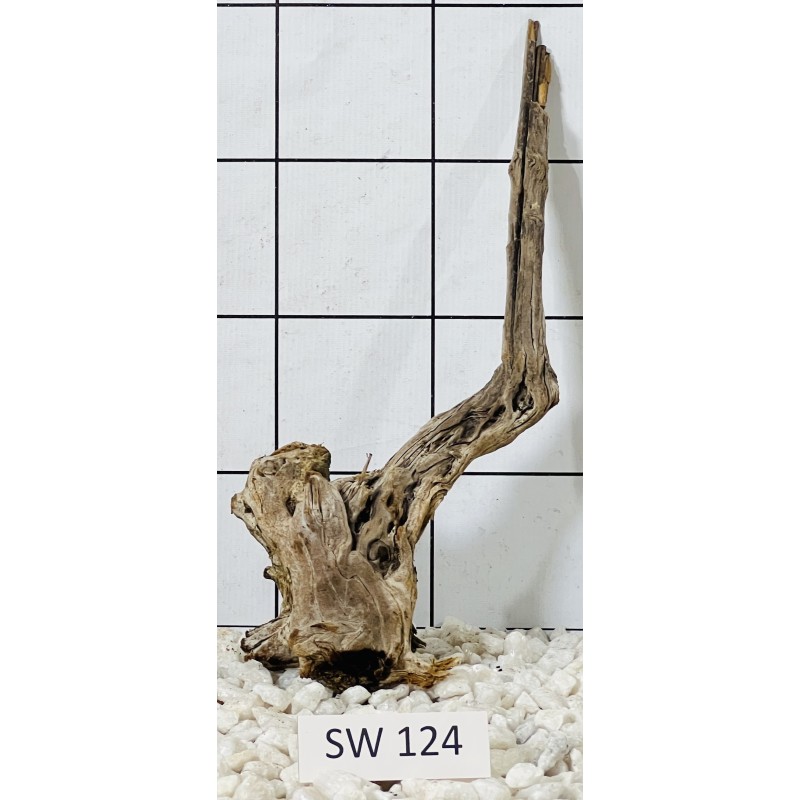 Stump wood 124