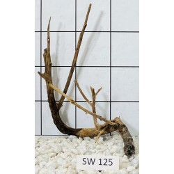Stump wood 125