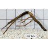 Stump wood 125