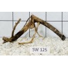 Stump wood 125