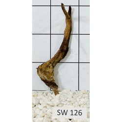 Stump wood 126