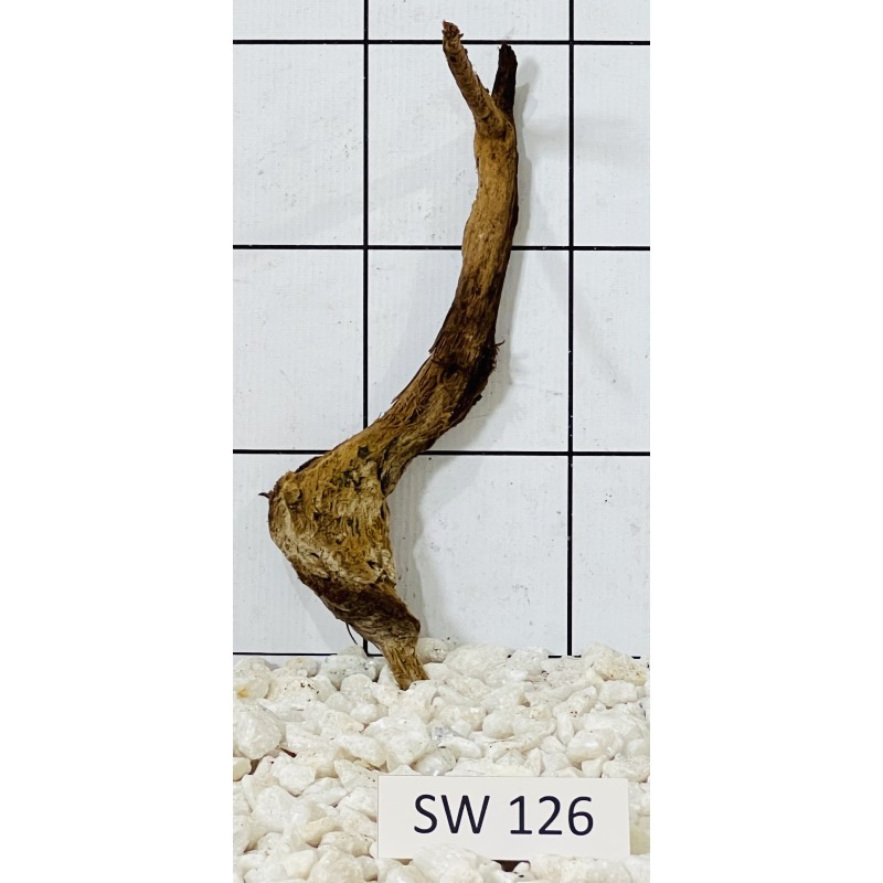 Stump wood 126