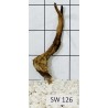 Stump wood 126
