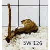 Stump wood 126