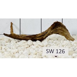 Stump wood 126