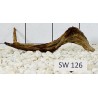 Stump wood 126
