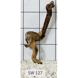 Stump wood 127
