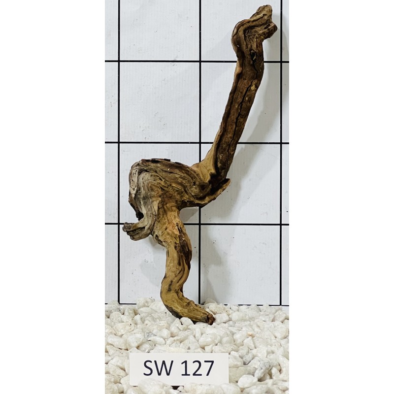 Stump wood 127