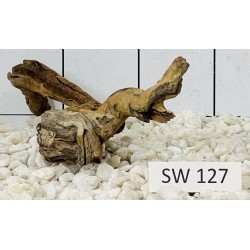 Stump wood 127