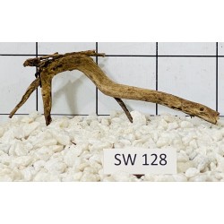 Stump wood 128