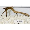 Stump wood 128