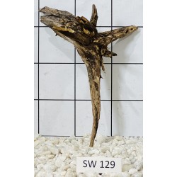 Stump wood 129