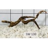 Stump wood 130