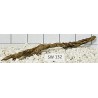 Stump wood 132