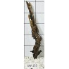 Stump wood 133