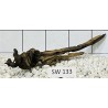 Stump wood 133