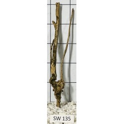 Stump wood 135