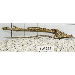 Stump wood 135