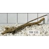 Stump wood 135
