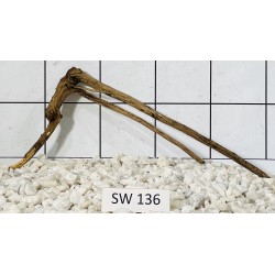 Stump wood 136