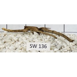 Stump wood 136