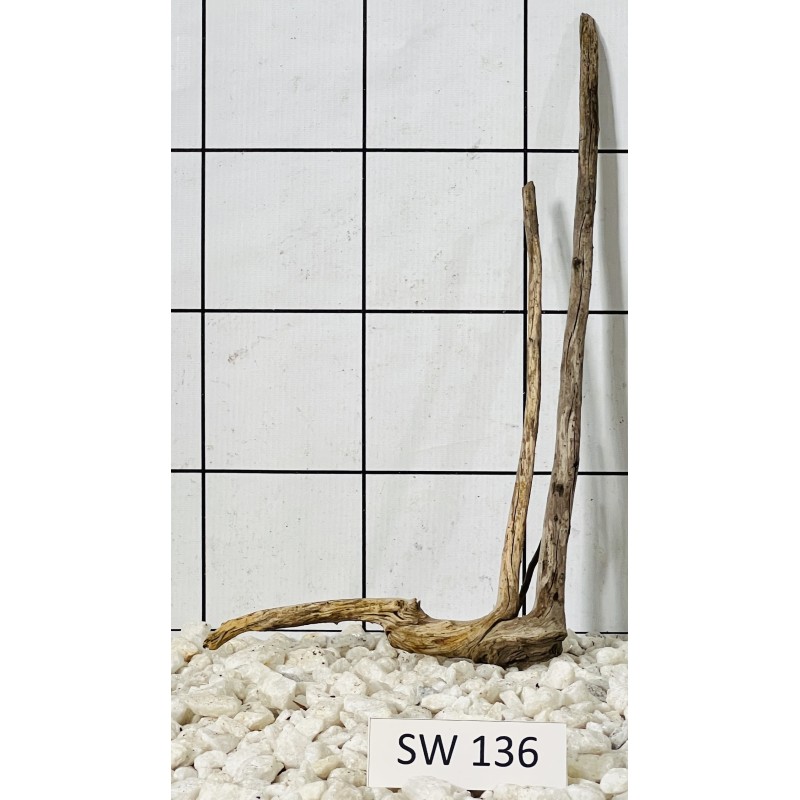 Stump wood 136