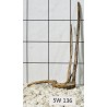 Stump wood 136